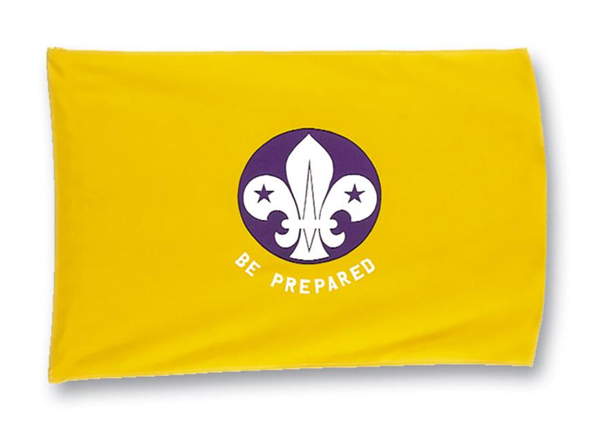 Cub Scout Flag